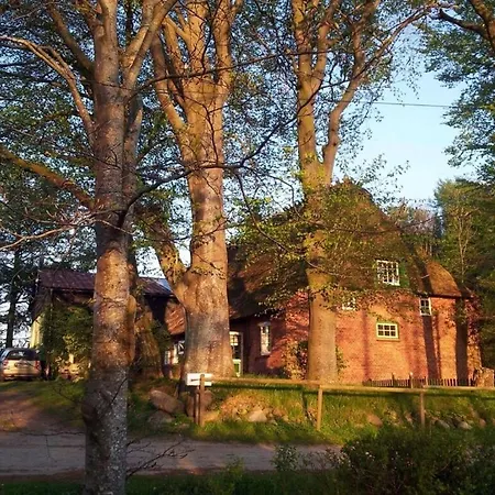 Romantic Thatched Roof House *