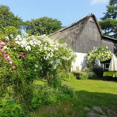 Apartment Romantic Thatched Roof House Schnarup-Thumby